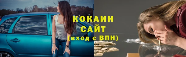 шишки Володарск