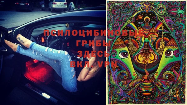герыч Вяземский